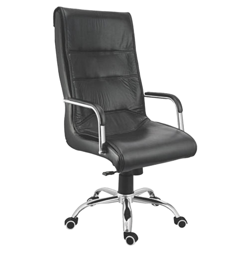 Director Chair